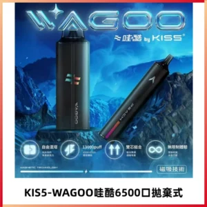 KIS5WAGOO哇酷6500口拋棄式 | 自由混搭雙口味 | 雙芯組合